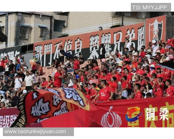 全民聚焦足球星投票活动引爆球迷热情共襄绿茵盛宴